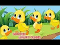 Download Lagu Potong Bebek Angsa, Lagu Anak anak, Lagu Anak Terbaru, Lagu Anak Viral, Lagu Anak Indonesia Balita
