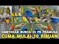 Download Lagu SUDAH MURAH ! CUMA MULAI 10 RIBUAN HARGA BURUNG KECIL OMBYOKAN DI PASAR BURUNG PRAMUKA
