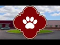 This is Animal Care Services