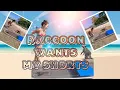 Download Lagu Racoon wants my shorts