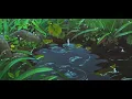 lana del rey - chemtrails over the country club (slowed + reverb + rain)
