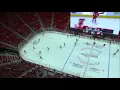 Red Wings Gondola
