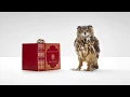 Knowledge - WGU Sage the Night Owl