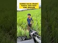 Download Lagu momen lucu ketika bocil nyungsep ke sawah bikin ngakak ‼️‼️ #ngakak #lucu #kocak #nyungsep #sawah