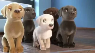 كرتون الكلاب المنقطه افلام كرتون 2021 تردد قناة افلام كرتون 2021 