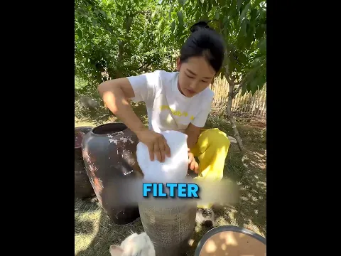 They were drinking dirty water until I did this... 🥺 #cats