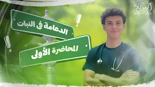 في السريع منه شرح وحل الدعامه في النبات للصف الثالث الثانوي مع د اسلام اوعي تفوتك 