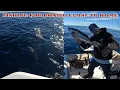 26 Fishing Point Loma to the Nine Mile Bank with John and Justin For Bonito