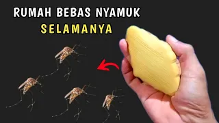 ternyata cukup pakai sabun aja rumah jadi bebas dari nyamuk selamanya 