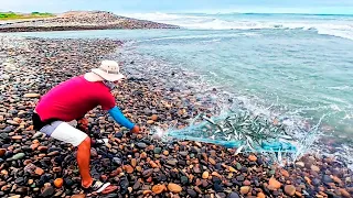 Cinco Lanzamientos, Cinco Veces Llenó la Atarraya… ¡Mire Cómo Lo Hace!