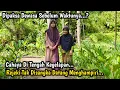 Download Lagu BIKIN HARU.. INILAH KISAH SEORANG NENEK DAN CUCU YANG HIDUP SEDERHANA DENGAN KETERBATASAN EKONOMI