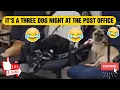 Romulus Michigan Post Office Visit 3 Dog Night