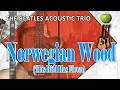 Lagu Norwegian Wood  - The Beatles Acoustic Trio | The Beatles full album