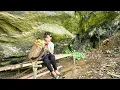 Download Lagu Phuong Vy went to pick vegetables and picked a lot of sweet fruits in the forest.