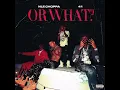 Or What - NLE Choppa, 41 & Kyle Richh (Explicit)