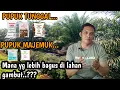 Lagu JENIS PUPUK YANG BAGUS DI LAHAN GAMBUT.