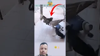 يأتي الهلاك مسرعآ ويأتي لطف الله اسرع حيوانات Funny Comedy Viralshorts Youtubeshorts 