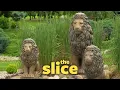 Delight in these unique garden statues