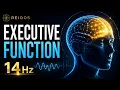 Executive Function Enhancer 14 Hz Beta-Alpha Synchrony for Peak Performance