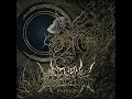 Despise - NOCTURNAL BLOODLUST
