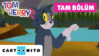 Uyku Bozukluğu 💤🛏️ | TOM VE JERRY | TAM BÖLÜM | @CartoonitoTurkiye