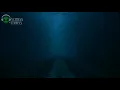 Avivah ft. Fernanda Madaloni - Maranata | Legendado