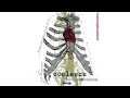 Download Lagu COALESCE - Functioning on Impatience [FULL ALBUM STREAM]
