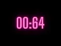 110 Second Timer with Alarm