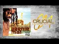Beenie Man Featuring Sean Paul & Lady Saw - Bossman [Instrumental]