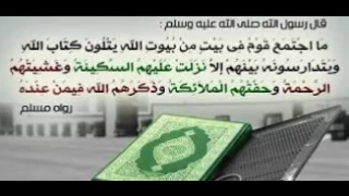 سورة المائده الشيخ محمد عمران تلاوة نادره جدا قمه التميز والابداع والخشوع 