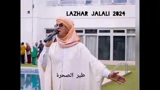               طير الصحرة  نسخة جديدة   دندنها