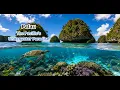 Palau The Pacific s Underwater Paradise