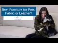 Best Furniture for Pets Leather or Fabric