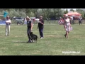 Download Lagu Finals - Valentina Balli + Mind the Dog Lycan