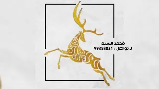 زفة صفاء ومروى 