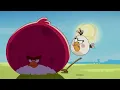Angry Birds Toons Gardening with Terence - S1 Ep13