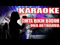 Download Lagu KARAOKE - CINTA BIKIN BODO - ONA HETHARUA