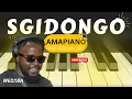 Lagu SGIDONGO MIX | AMAPIANO 2025 | DJ WEBABA