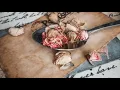 Rico J Puno - Where Did Our Love Go (Official Lyric Video)