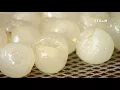 Download Lagu Dried longan making in Hung Yen