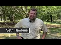 Tree Risk Assessment Ask the Arborist