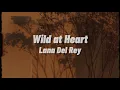 Download Lagu Lana Del Rey - Wild at Heart (Lyrics)