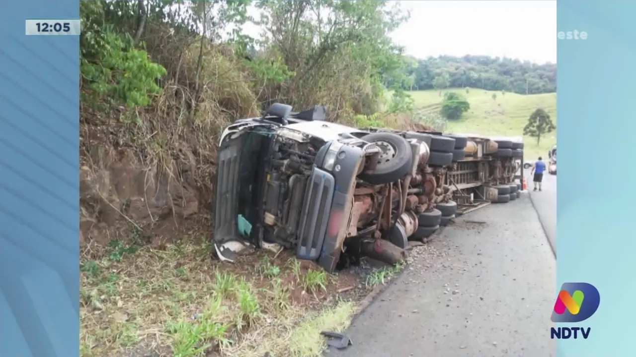 BR-282: Caminhão carregado de suíno tomba entre São Miguel do Oeste e Maravilha