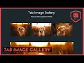 Tab Image Gallery