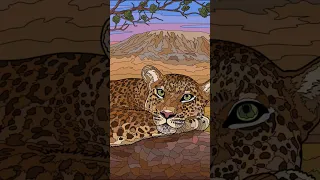 Leopard Coloring