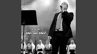 مهرجان نارى دندنها