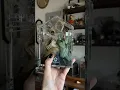 Let s build a jumping spider enclosure
