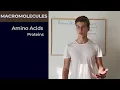 Amino Acids and Proteins Structure Non-Polar Polar and Charged Side Chains Biochemistry