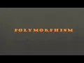 OOP Exploring Polymorphism Day 11