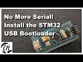 Installing the STM32 USB Bootloader Easily SEE DESCRIPTION